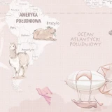 Tapeta z mapą świata Wanderlust Desert Rose – detal z Ameryką Południową