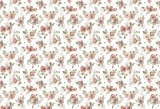 Tapeta w kwiaty – cały wzór Wild Roses