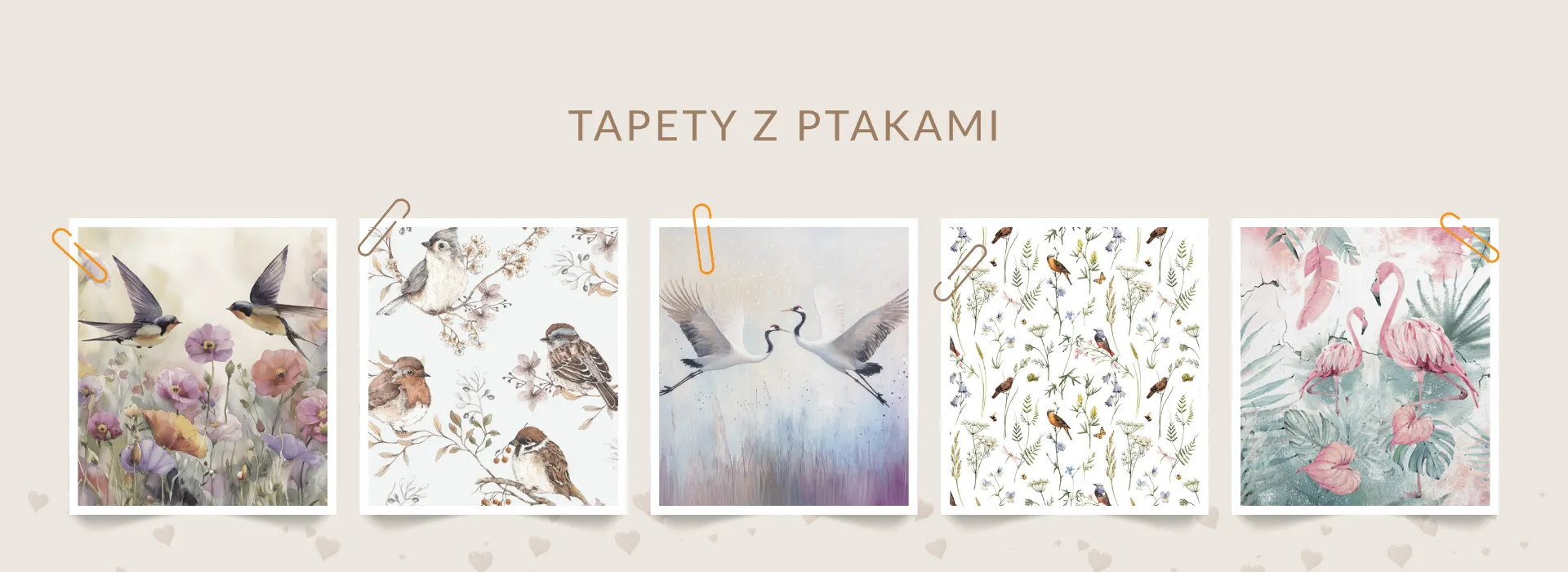 Tapety z ptakami do pokoju dziecka
