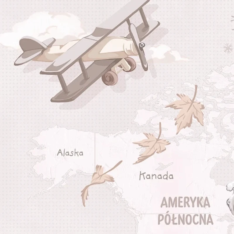 Detal tapety Wanderlust Neutral Malumi – dwupłatowiec nad Ameryką Północną